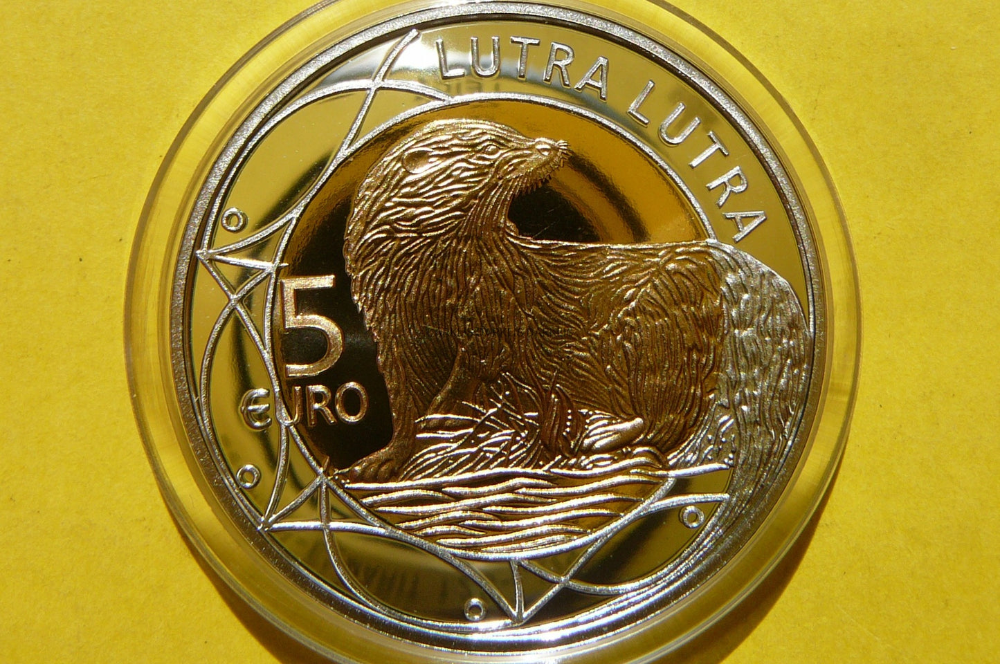 5 EURO LUKSEMBURG 2011 WYDRA EUROPEJSKA RZADKA Ag