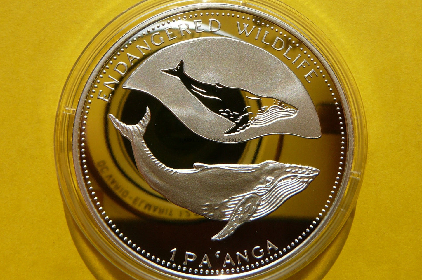 PAANGA TONGA 1994 WIELORYB HUMBAK SREBRO 925 UNCJA