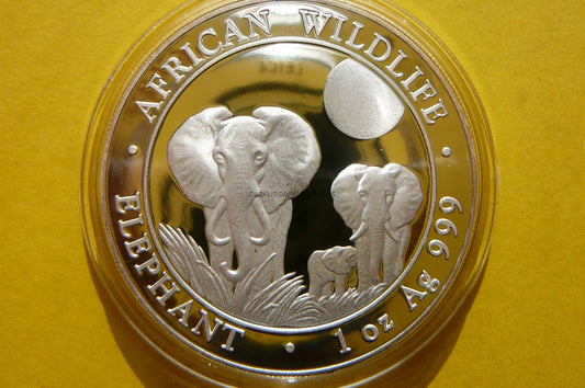 100 SHILL SOMALIA 2014 SŁOŃ PROOF SREBRO 999 UNCJA