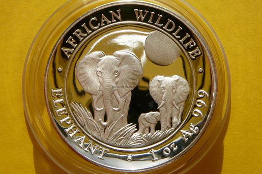 100 SHILL SOMALIA 2014 SŁOŃ Ag 999 Oz HIGH RELIEF