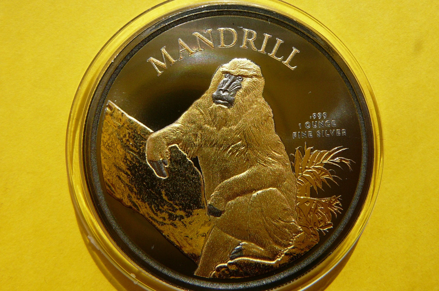 500 FR KAMERUN 2021 MAŁPA MANDRILL Ag/Au 99 RUTHEN