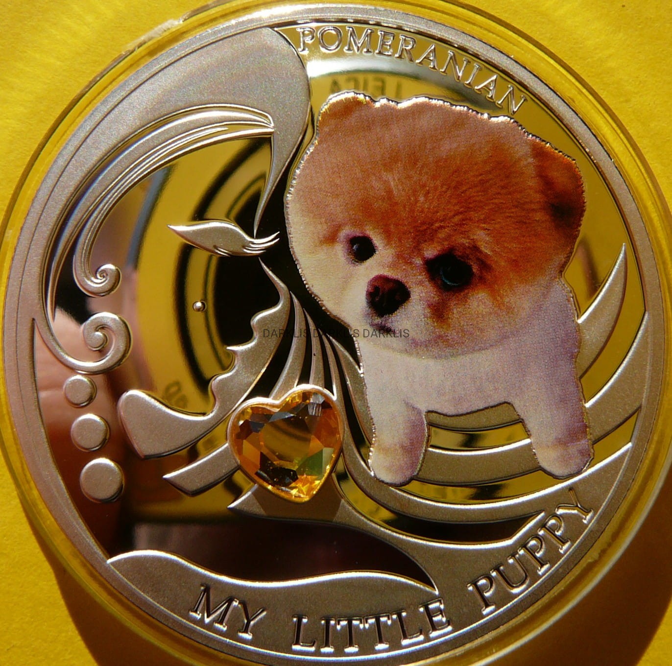 2$ FIJI 2013 PIES SZPIC MINIATUROWY MÓJ MAŁY SZCZENIAK KOLOR