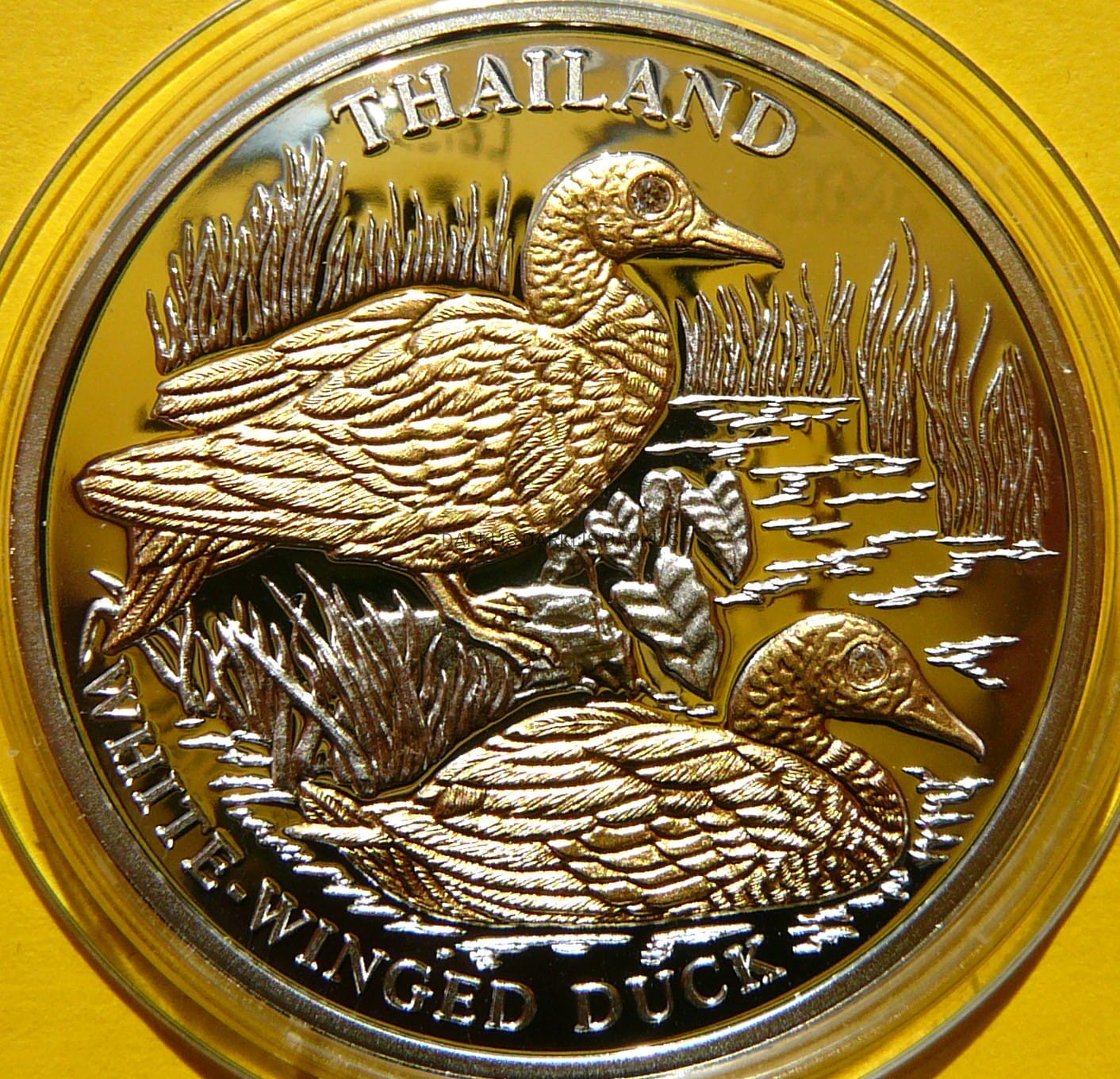 10$ LIBERIA 2005 PIŻMÓWKA MALAJSKA TAJLANDIA Ag +BRYLANT