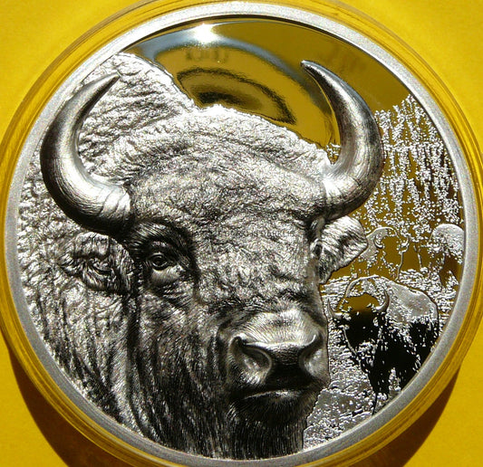 2000 TUGRIK MONGOLIA 2025 BIZON ULTRA HIGH RELIEF RZADKA