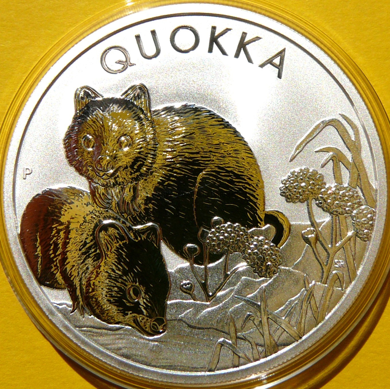 1$ AUSTRALIA 2022 QUOKKA SSAK KANGUROWATY Ag Oz