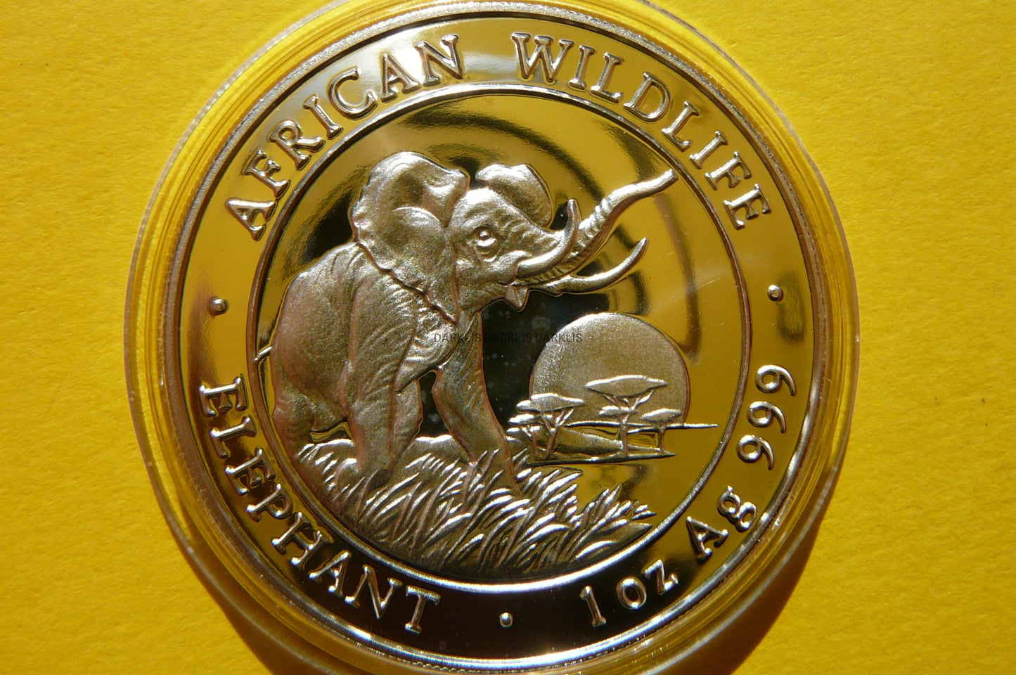 100 SHILL SOMALIA 2009 SŁOŃ AFRYKA SREBRO 999 UNCJA