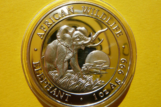 100 SHILL SOMALIA 2009 SŁOŃ AFRYKA SREBRO 999 UNCJA