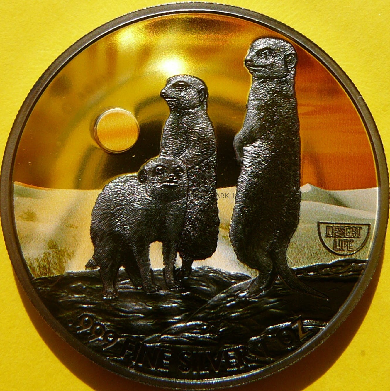 2$ NIUE 2020 SURYKATKI PUSTYNIA RUTHEN Ag 999 Oz +CE