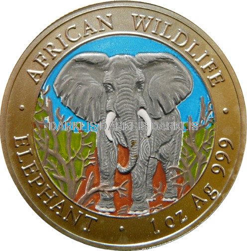100 SHILL SOMALIA 2004 SŁOŃ MATT Ag 999 Oz KOLOR