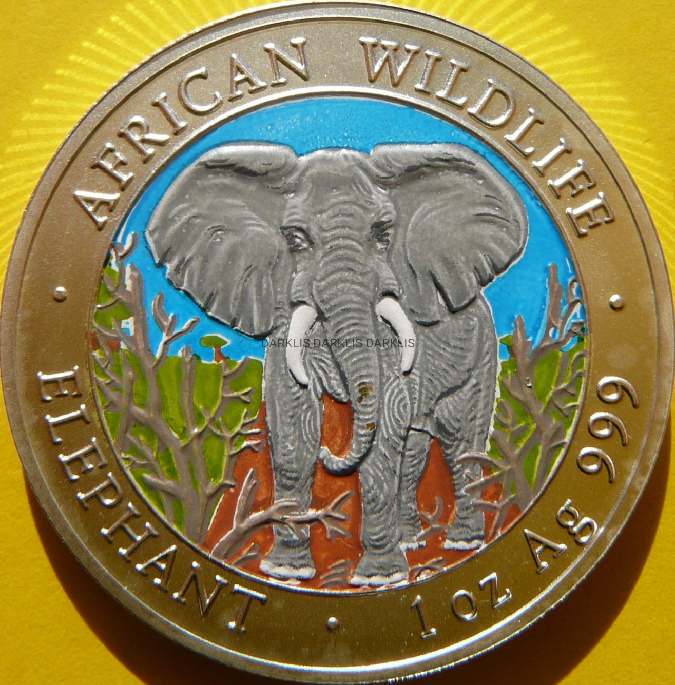 100 SHILL SOMALIA 2004 SŁOŃ MATT Ag 999 Oz KOLOR