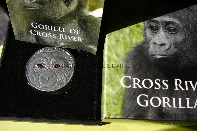 1000FR KAMERUN 2013-GORYL CROSS RIVER-Ag99-1000szt