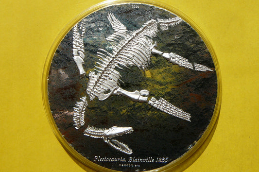 2000 TUGRIK MONGOLIA 2020 PLEZJOZAUR RZADKA 3Oz+CE