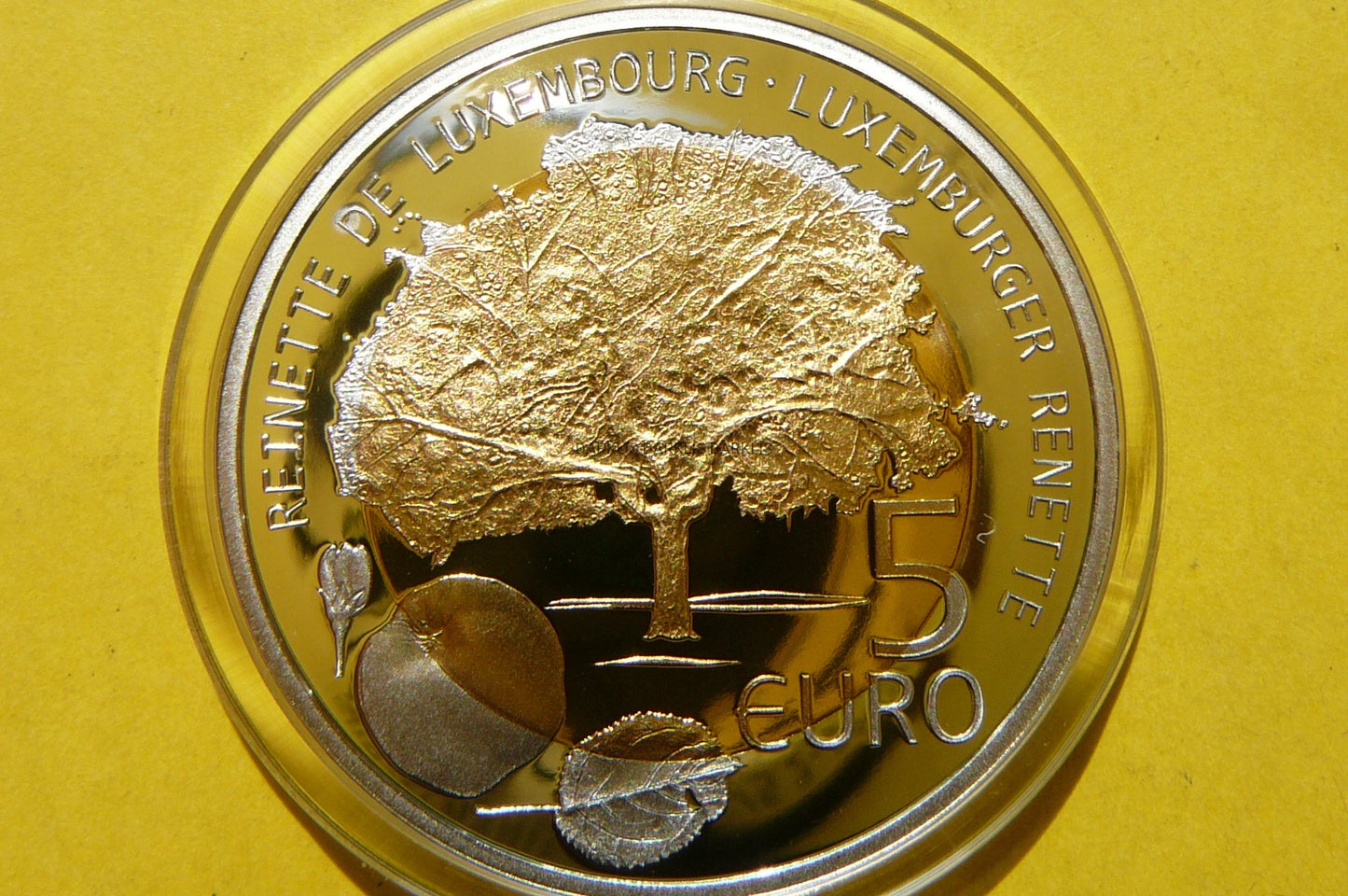 5 EURO LUKSEMBURG 2014 JABŁKO RENETA RZADKA Ag+CER
