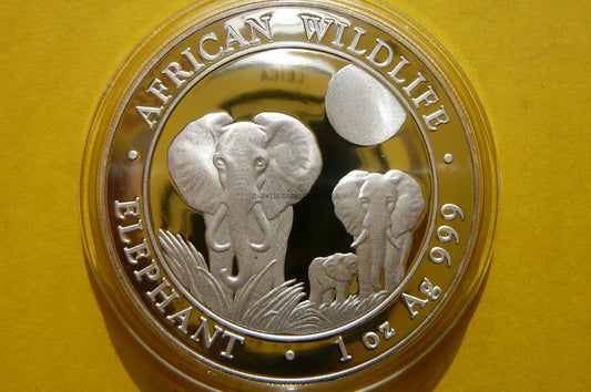 100 SHILL SOMALIA 2014 SŁOŃ PROOF SREBRO 999 UNCJA