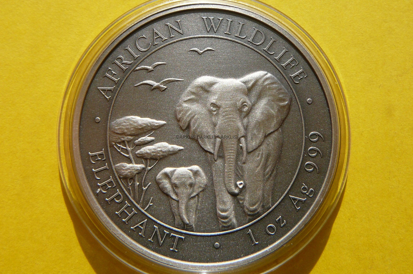 100 SHILL SOMALIA 2015 SŁOŃ ANTIK SREBRO 999 UNCJA
