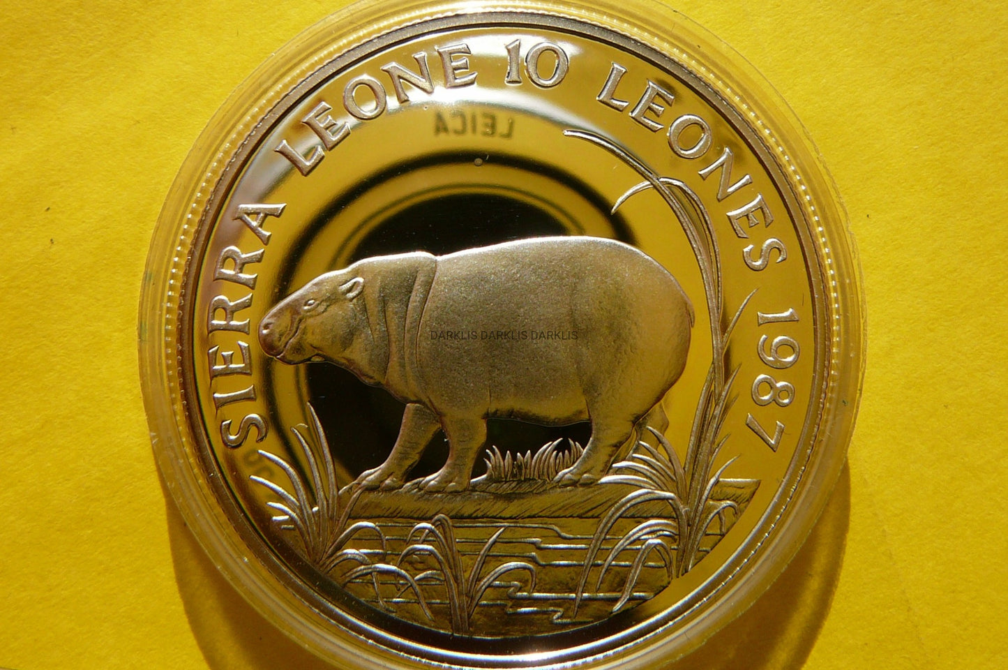 *10 LEO SIERRA LEONE 1987 - HIPOPOTAM KARŁOWATY Ag