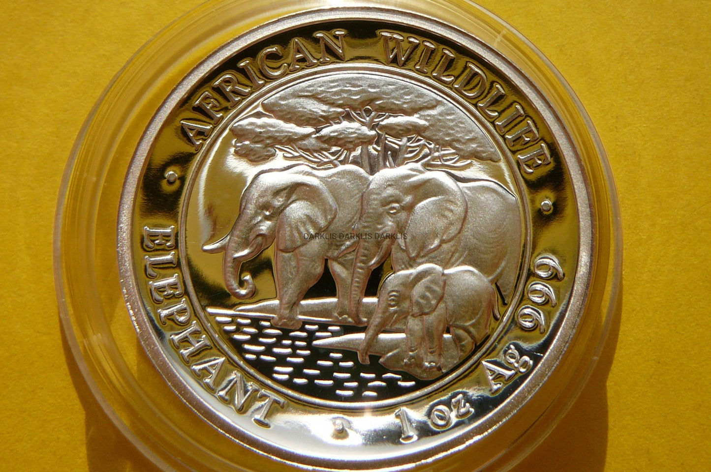 100 SHILL SOMALIA 2013 SŁOŃ Az 999 Oz HIGH RELIEF