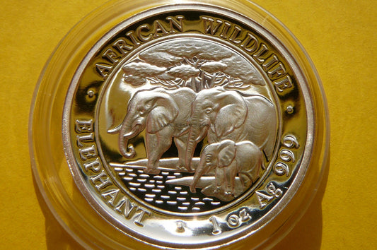 100 SHILL SOMALIA 2013 SŁOŃ Az 999 Oz HIGH RELIEF