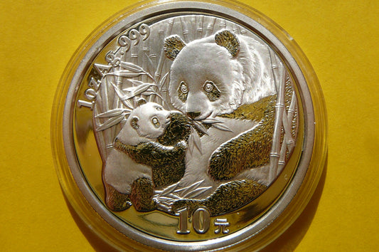 10 YUAN CHINY 2005 PANDA WIELKA Ag 999 Oz RARYTAS