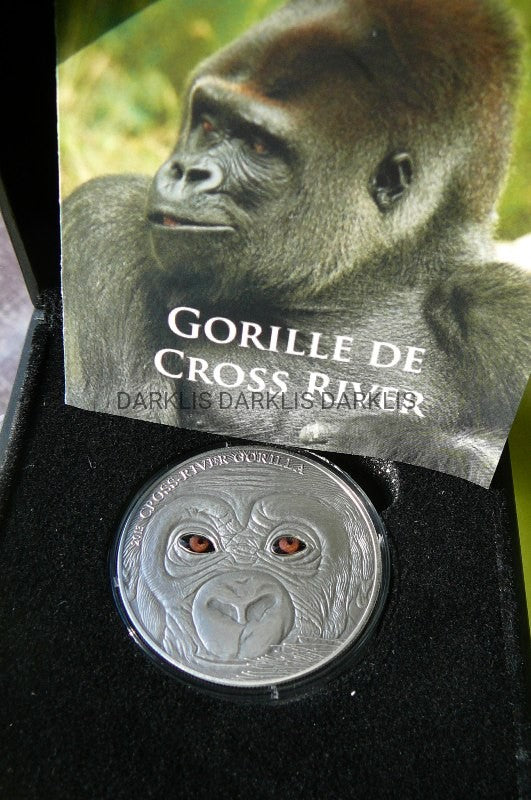 1000FR KAMERUN 2013-GORYL CROSS RIVER-Ag99-1000szt