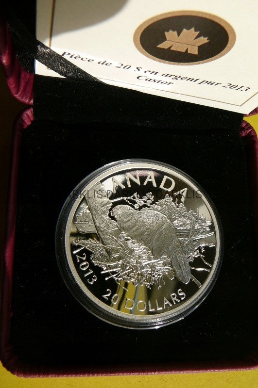 20 DOLLARS KANADA 2013 BÓBR SREBRO 999 UNCJA PROOF