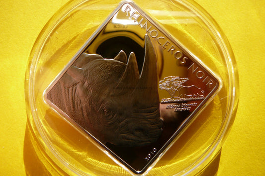 1500 FR KAMERUN 2010 NOSOROŻEC SREBRO 999 2Oz +CE