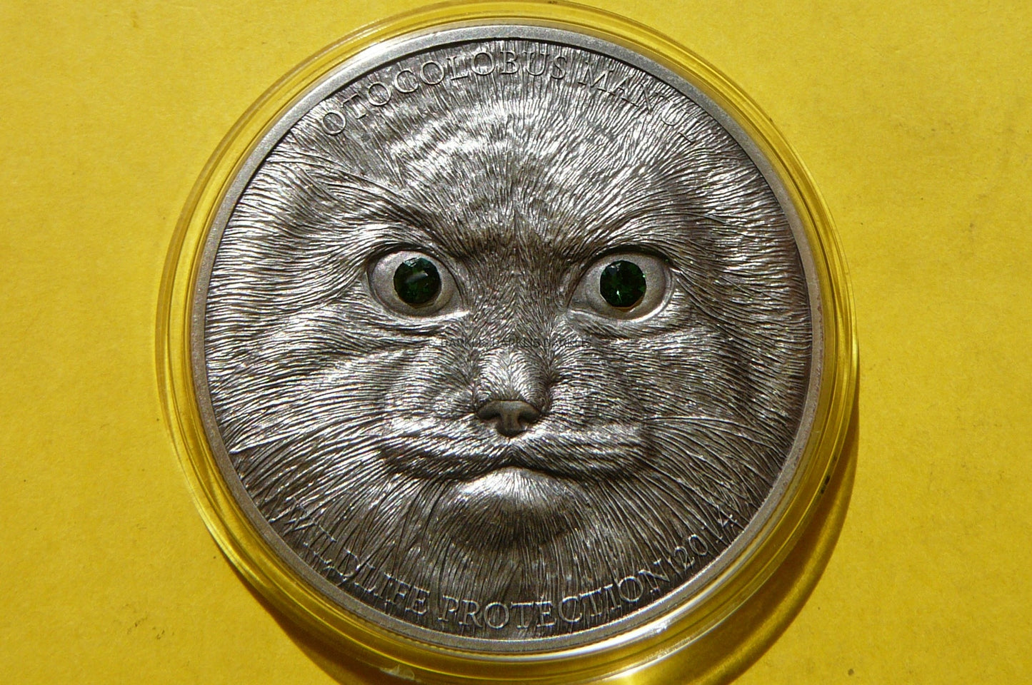 500 TUGRIK MONGOLIA 2014 MANUL STEPOWY RZADKA +CER