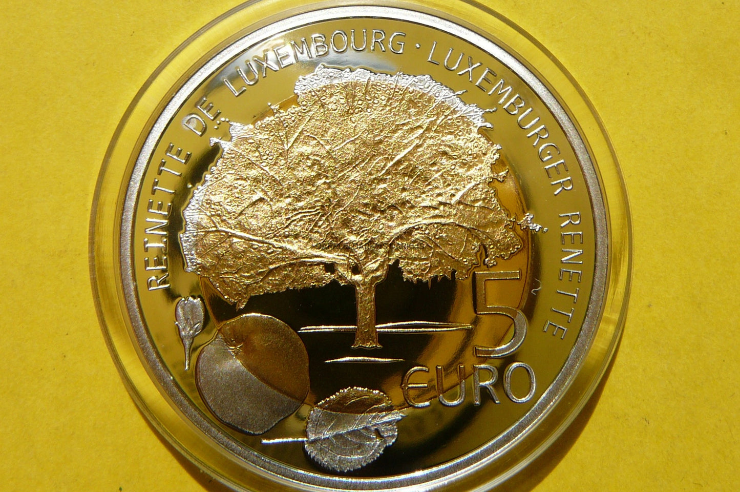 5 EURO LUKSEMBURG 2014 JABŁKO RENETA RZADKA Ag+CER