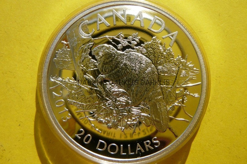 20 DOLLARS KANADA 2013 BÓBR SREBRO 999 UNCJA PROOF