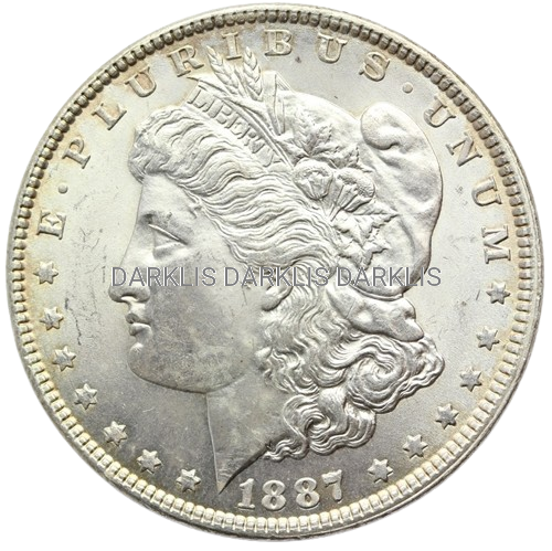 MORGAN DOLLAR USA 1887 LIBERTY EAGLE SUPER STAN!