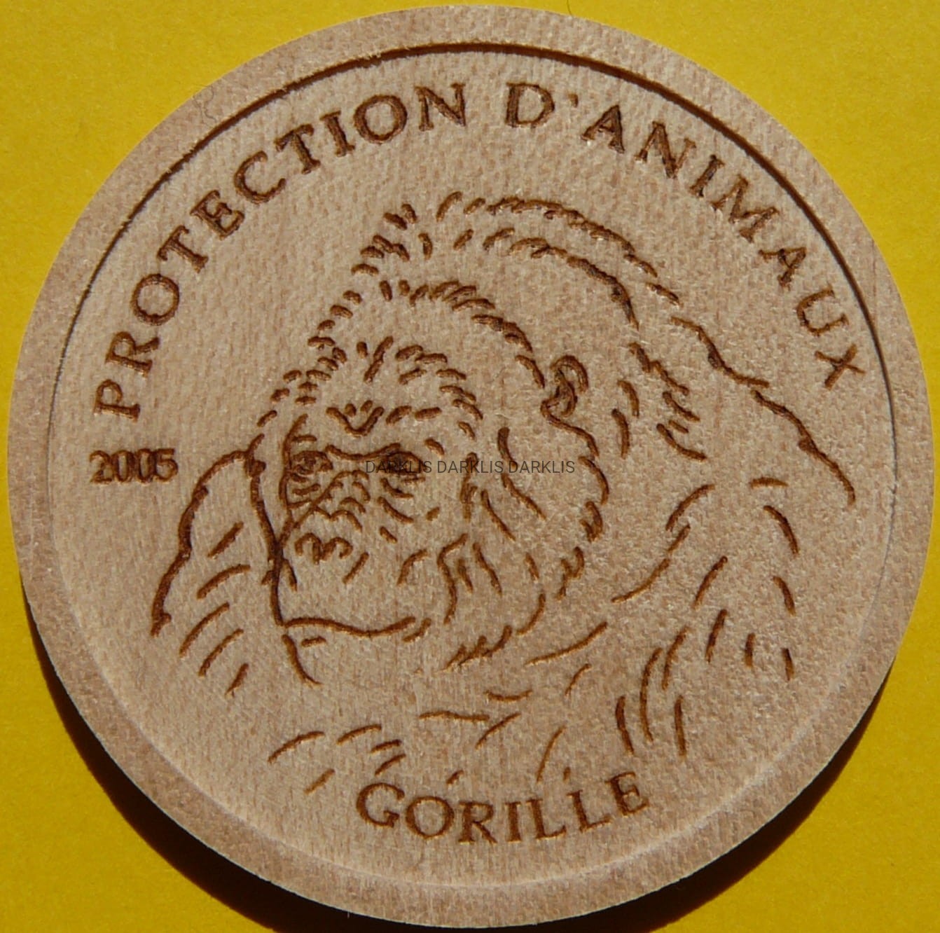 5 FRANK KONGO 2005 GORYL OCHRONA DZIKIEJ PRZYRODY