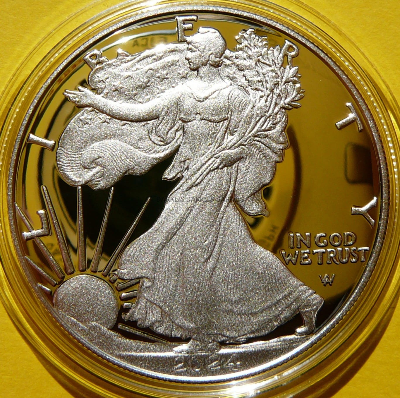 1$ USA 2024 W EAGLE BOGINI WOLNOŚCI LIBERTY Ag Oz PROOF