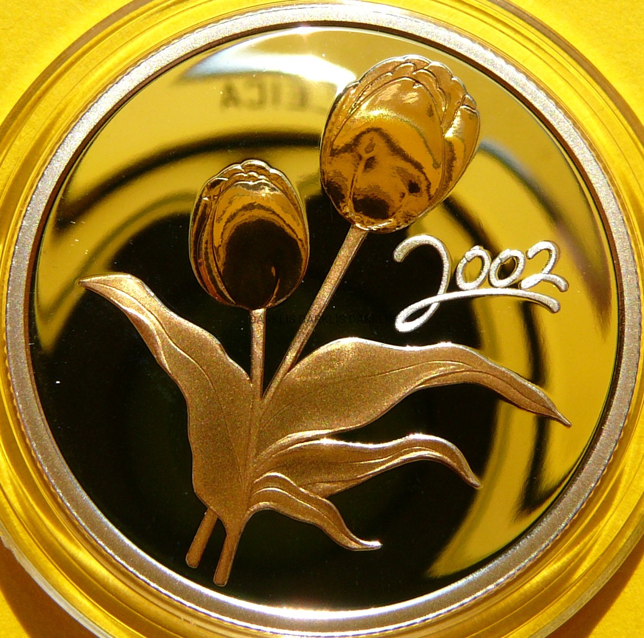 50 CENT KANADA 2002 KWIATY FLORA ZŁOTE TULIPANY