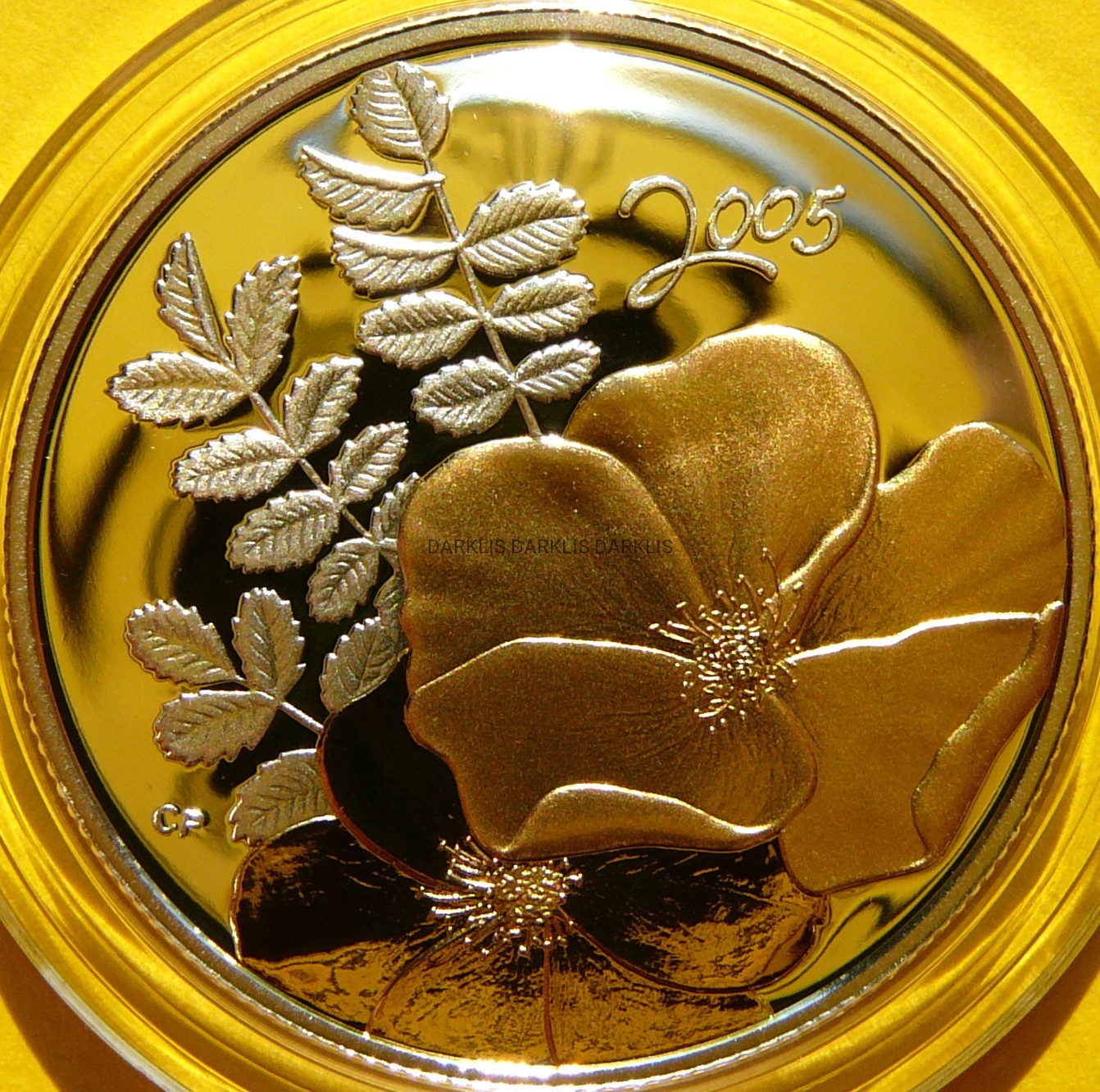 50 CENT KANADA 2005 KWIATY FLORA ZŁOTA RÓŻA
