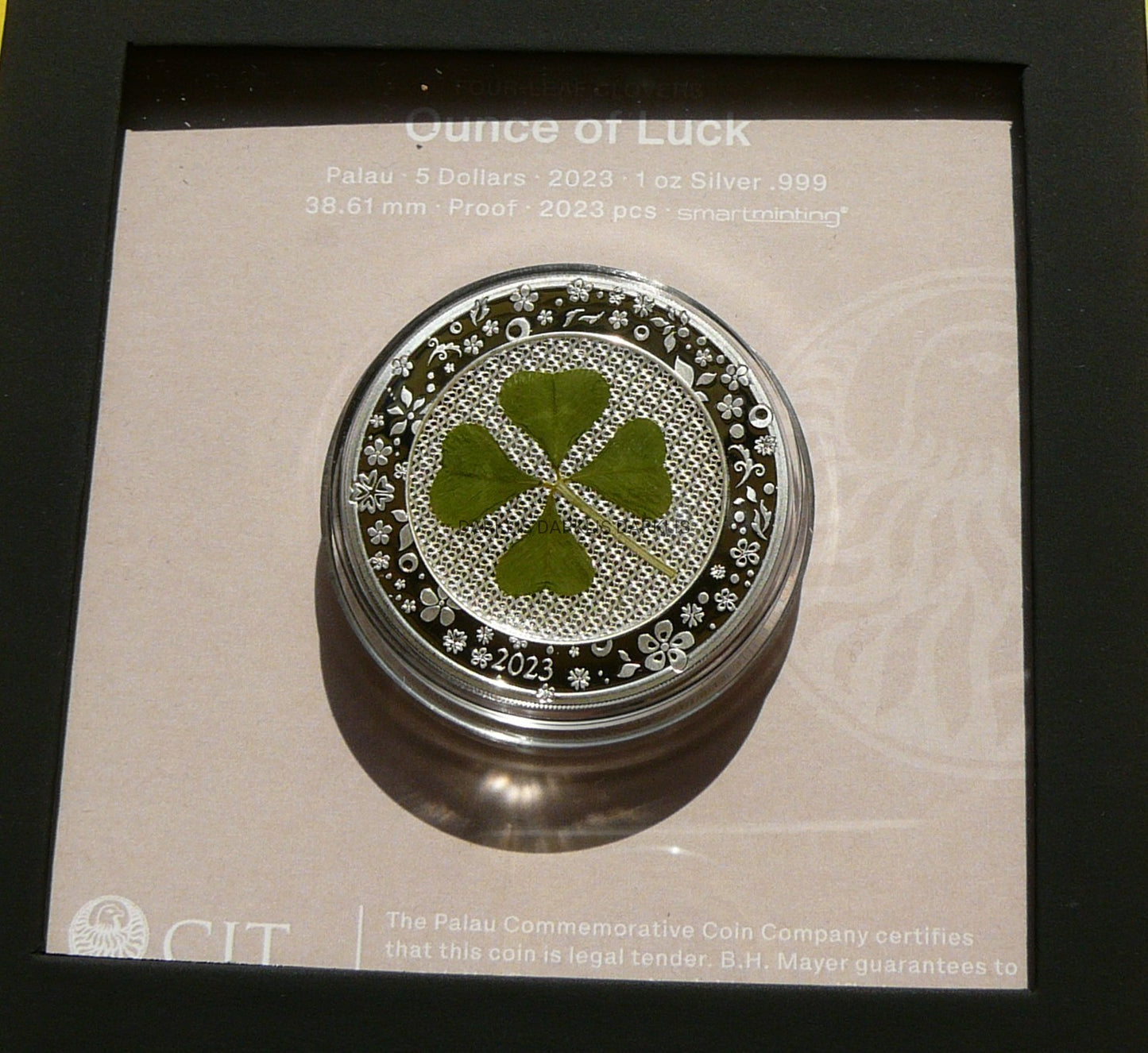 5$ PALAU 2023 CZTEROLISTNA KONICZYNA NA SZCZĘŚCIE