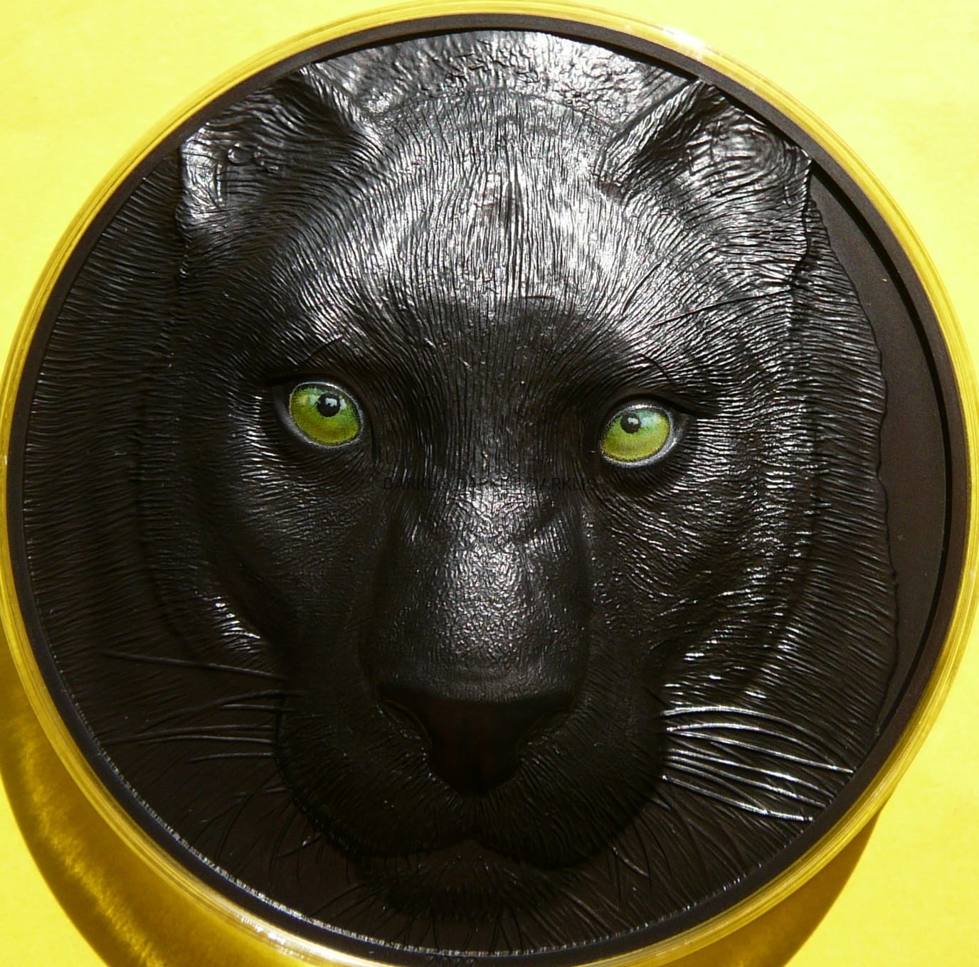25$ PALAU 2022 BLACK PANTHER HUNTERS BY NIGHT 1/2 Kg