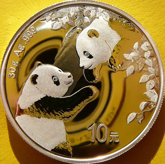 10 YUAN CHINY 2023 PANDA WIELKA SREBRO 999 30g