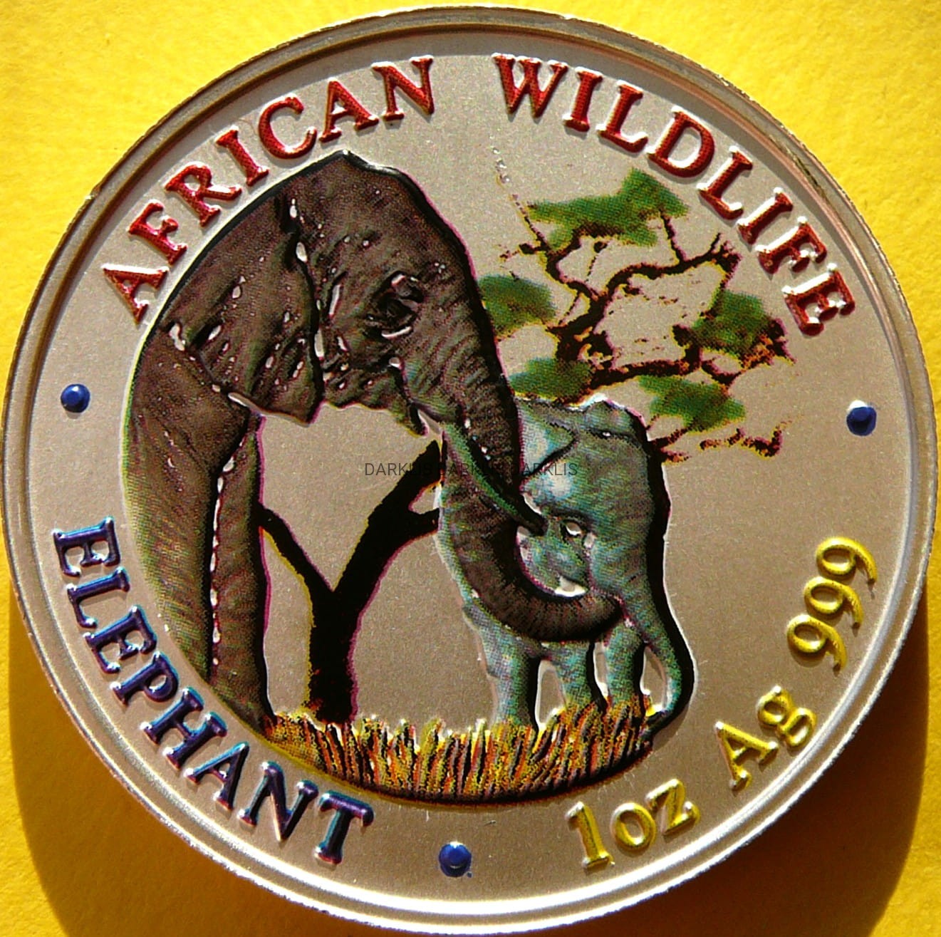 5000 KWACH ZAMBIA 2001 SŁOŃ AFRYKAŃSKI Ag 999 Oz KOLOR