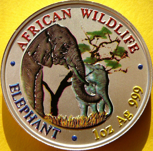 5000 KWACH ZAMBIA 2001 SŁOŃ AFRYKAŃSKI Ag 999 Oz KOLOR