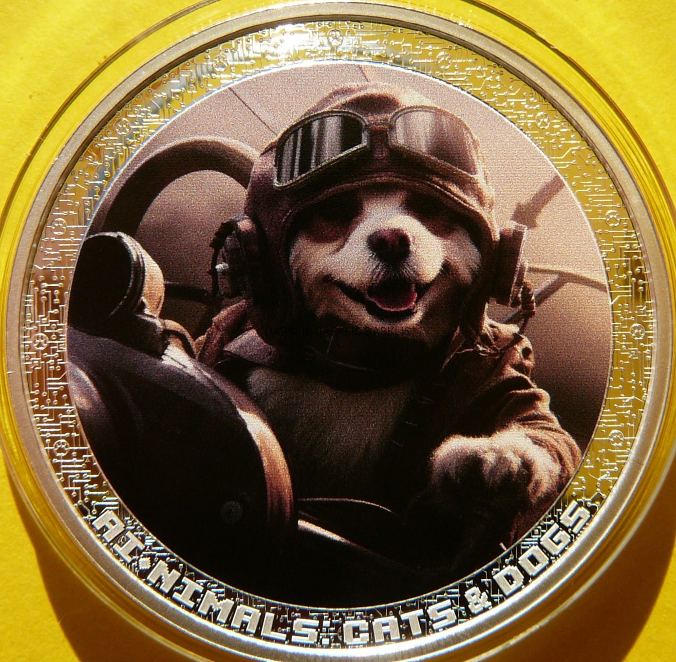 1000 FRANK KAMERUN 2025 ZWIERZĘTA AI PIES PILOT