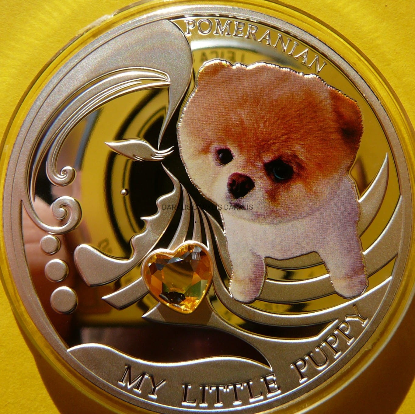 2$  FIJI 2013 PIES SZPIC MINIATUROWY MÓJ MAŁY SZCZENIAK KOLOR