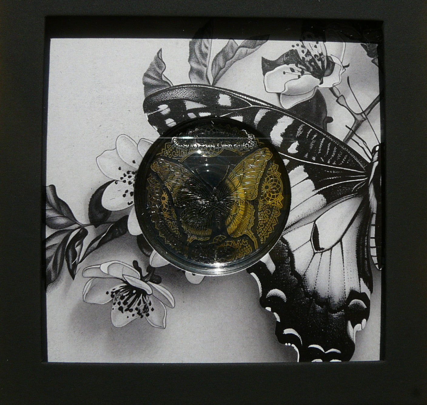 5$ COOK 2025 BUTTERFLY MOTYL OBSIDIAN BLACK RZADKA