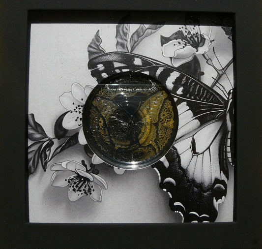 5$ COOK 2025 BUTTERFLY MOTYL OBSIDIAN BLACK RZADKA