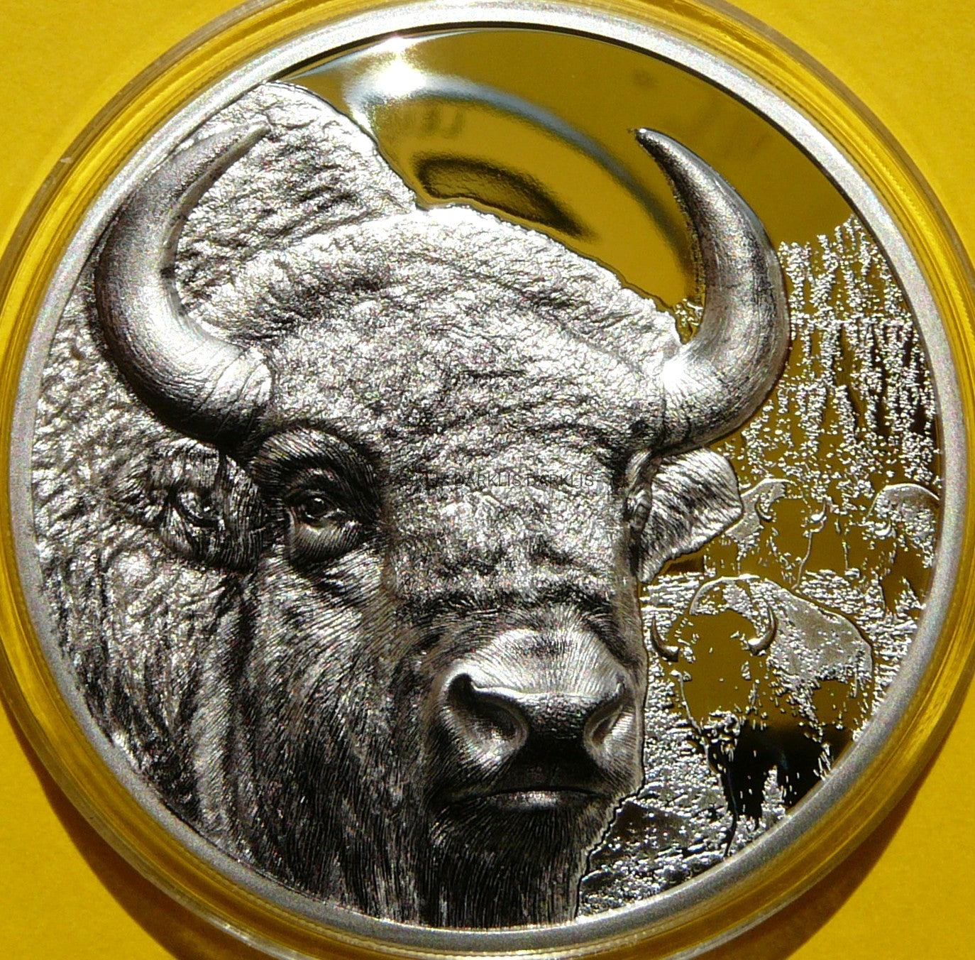 500 TUGRIK MONGOLIA 2025 BIZON ULTRA HIGH RELIEF RZADKA
