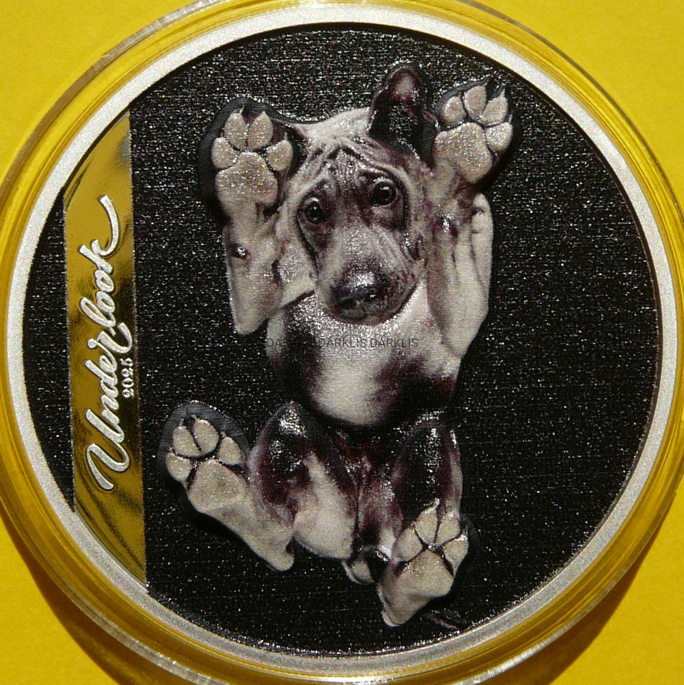 5$ COOK 2025 UNDERLOOK UNDER DOG KOLOR RZADKA