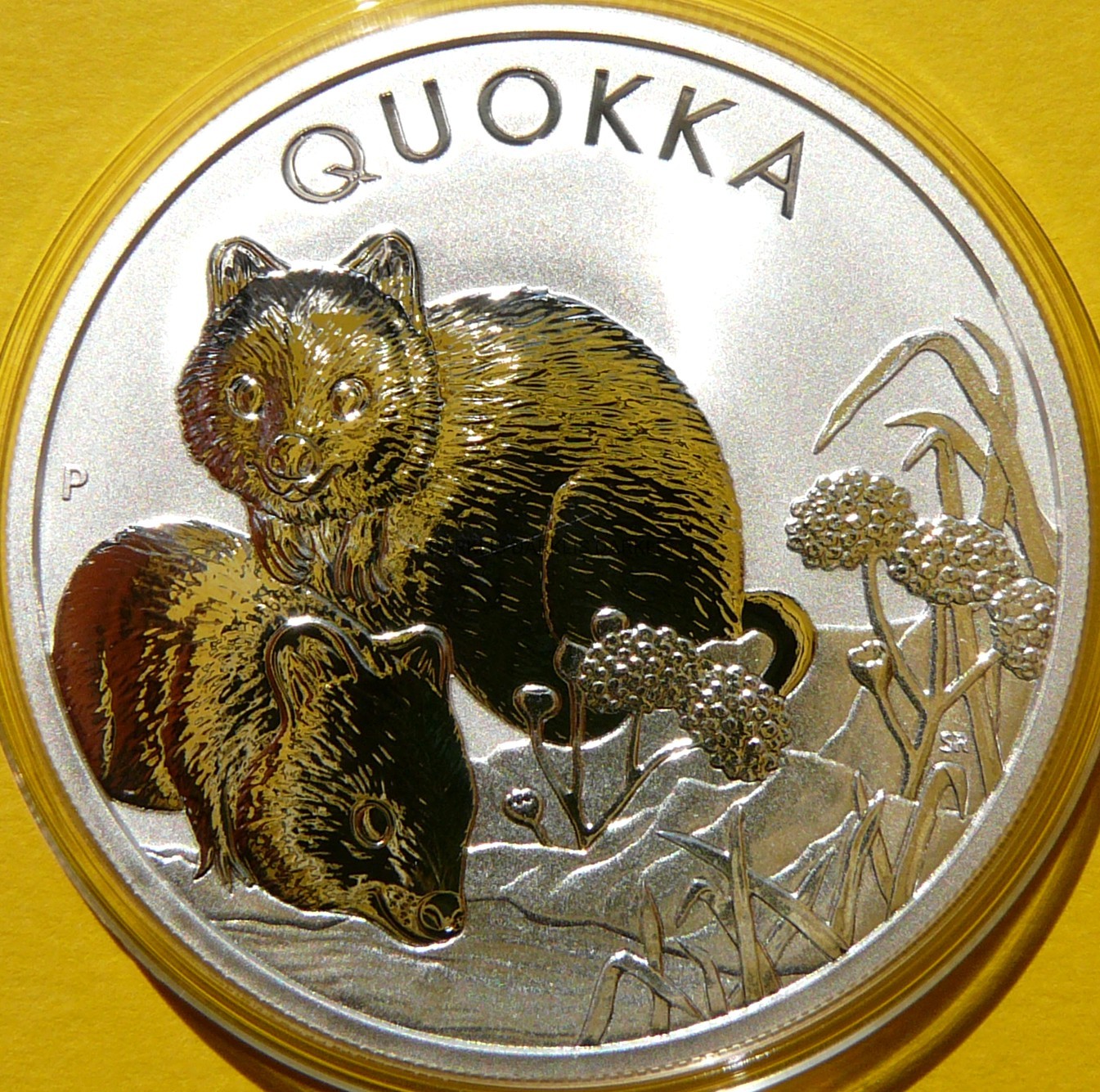 1$ AUSTRALIA 2022 QUOKKA SSAK KANGUROWATY Ag Oz