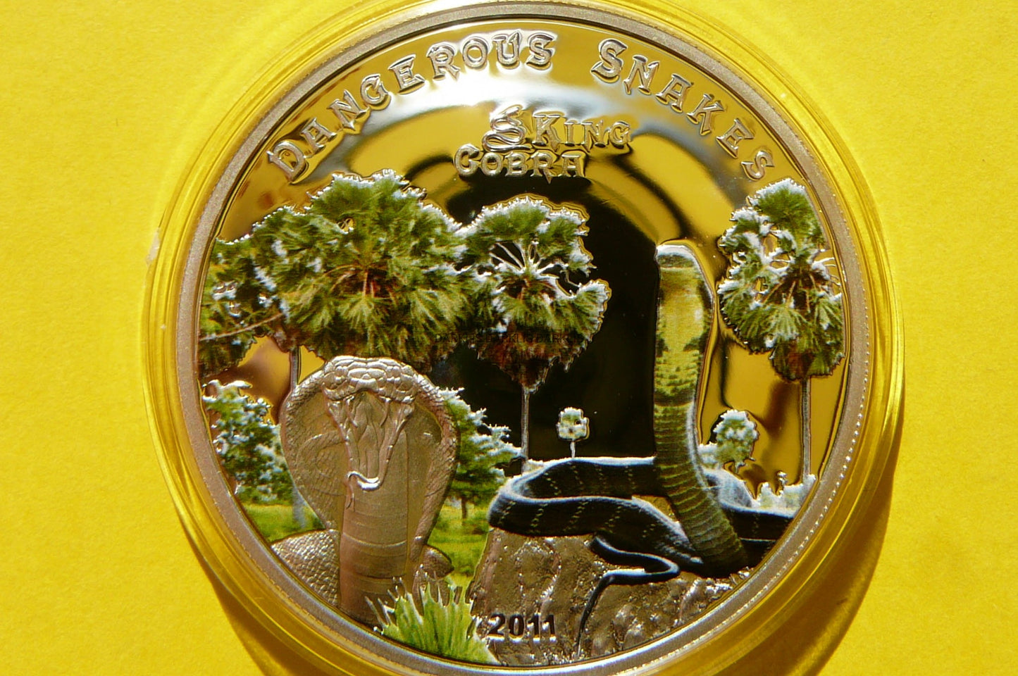 5$ COOK 2011 WĄŻ KOBRA KRÓLEWSKA SREBRO 925 RZADKA