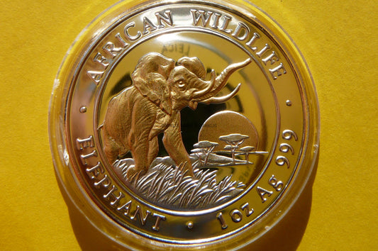 100 SHILL SOMALIA 2009 SŁOŃ PROOF Ag/Au 999 UNCJA
