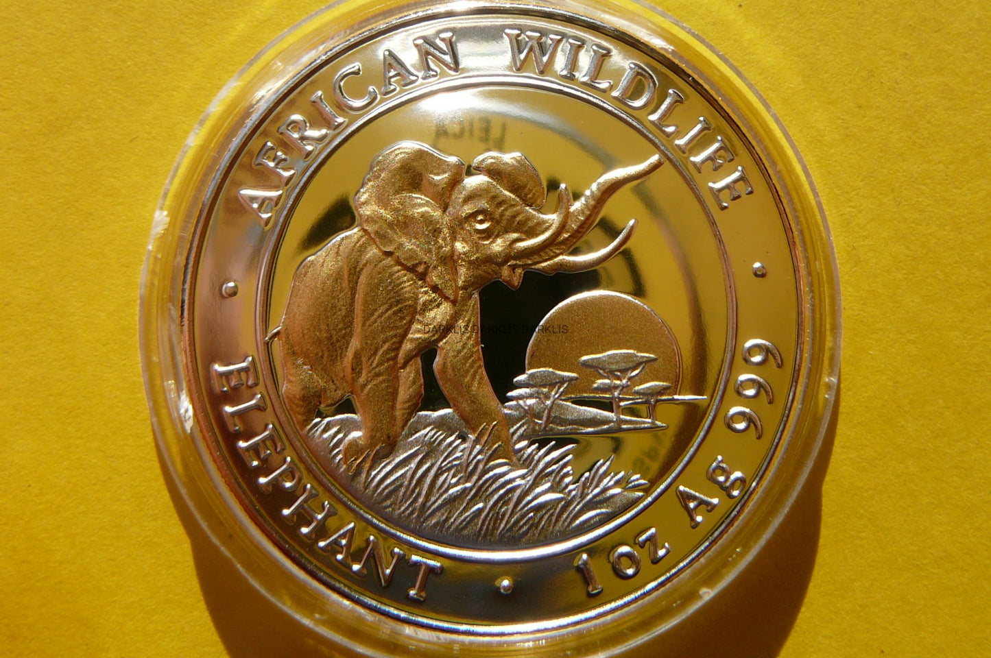 100 SHILL SOMALIA 2009 SŁOŃ PROOF Ag/Au 999 UNCJA