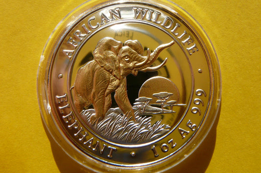 100 SHILL SOMALIA 2009 SŁOŃ PROOF Ag/Au 999 UNCJA